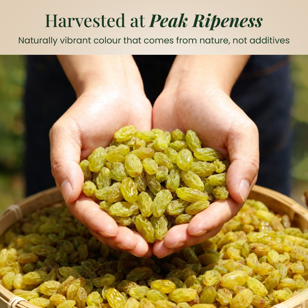 Royal Pavitra Afghani Green Raisins 250g