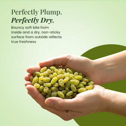 Royal Pavitra Premium Seedless Green Raisins - 250g